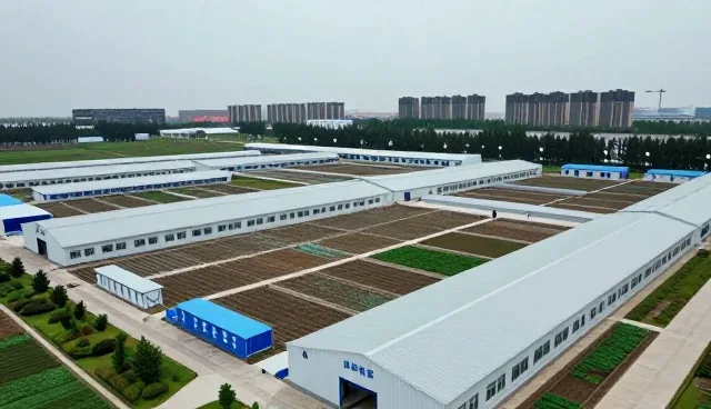 教育数字化背景下师资培训场景的实践路径